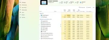 Windows 11 Task Manager
