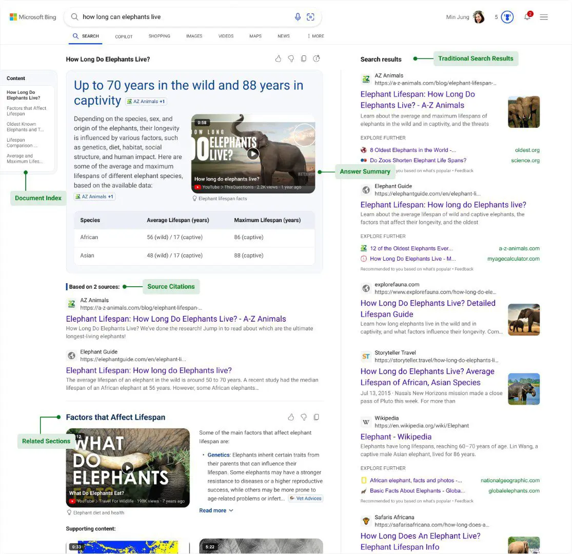 bing search
