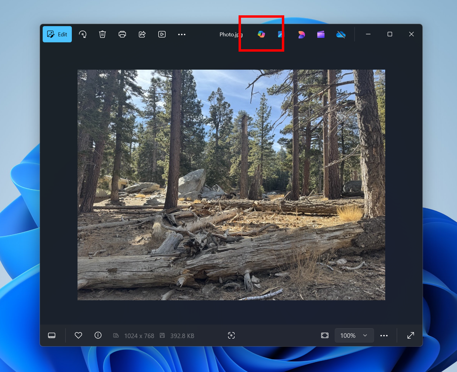 PhotosCopilotButton
