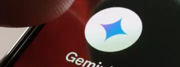 google gemini local