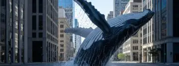 Imagen4 Whale