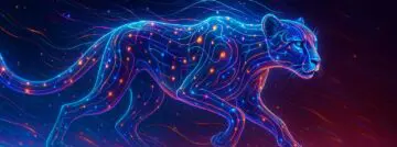 cryptography quantum cheetah