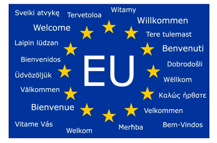 Microsoft Aims to Involve Small European Languages in AI Development