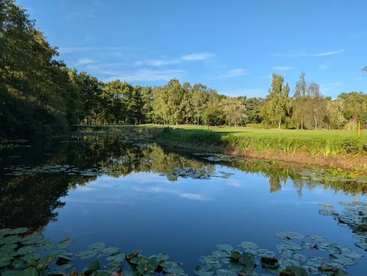 Google Pixel 10 Pro Photo 1
