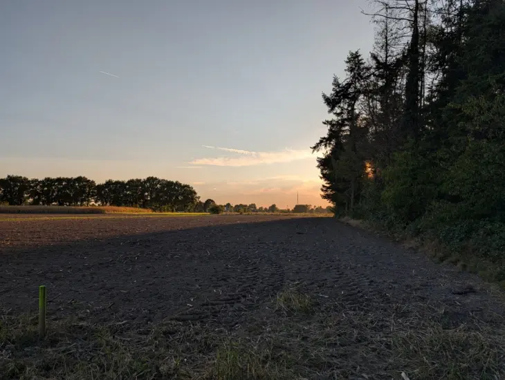 Google Pixel 10 Pro Photo 3