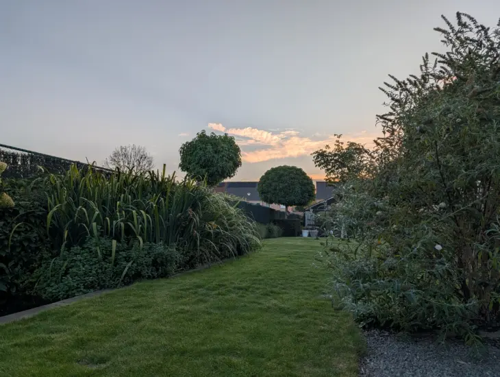 Google Pixel 10 Comparison Photo 5