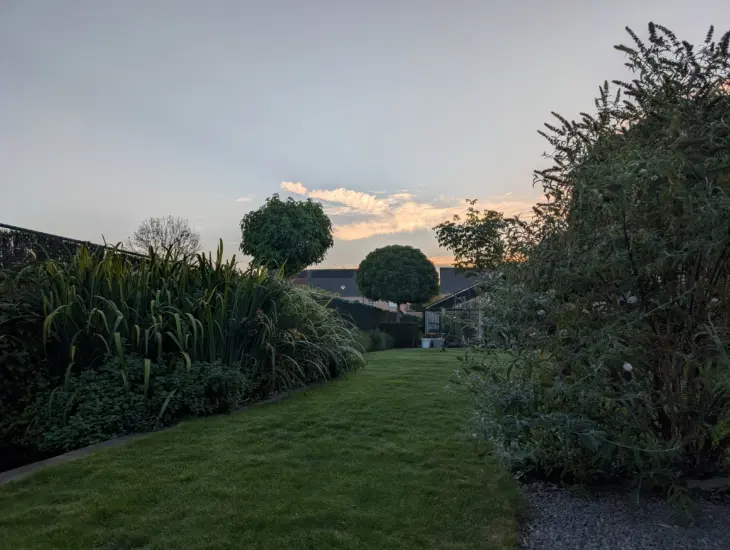 Google Pixel 9 Comparison Photo 5