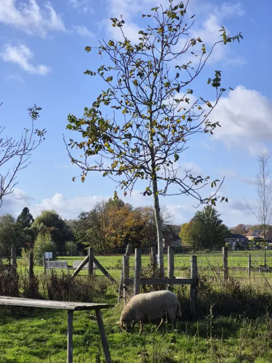 20251024 121213 Rotated