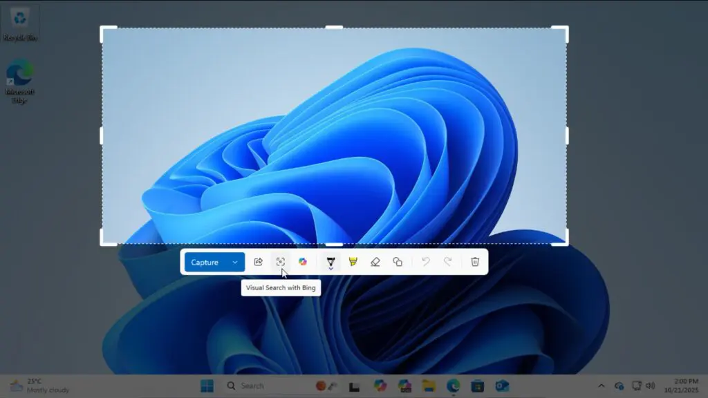 Snipping-Tool-Visual-Search