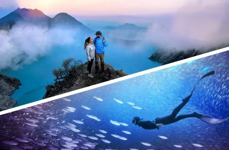Photoshop and Premiere Elements 2026. Source: Adobe