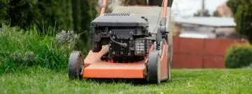 Time savings through AI: for business processes or to mow the lawn?