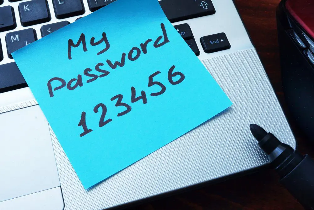 123456 password
