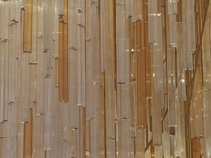 motorola-edge-70-edge-zoom-3